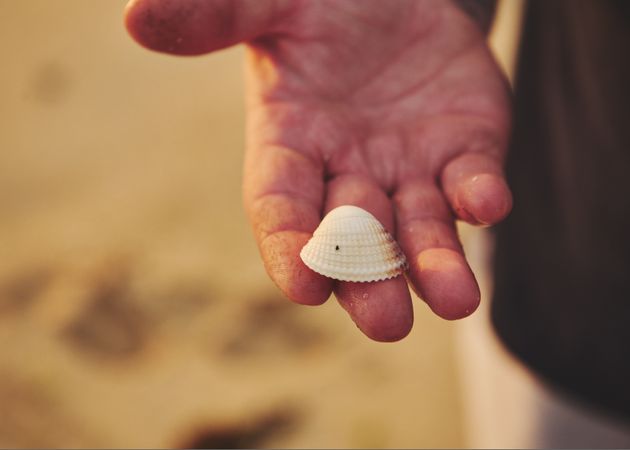 Hang holding a seashell