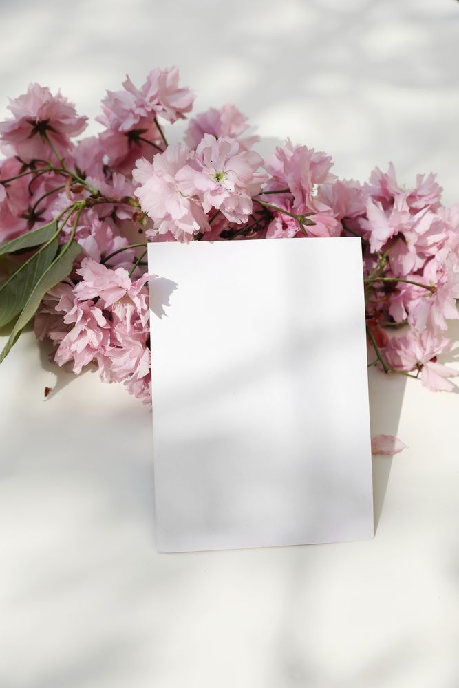 Spring styled stock photo blossoming pink Japanese cherry tree, sakura branch