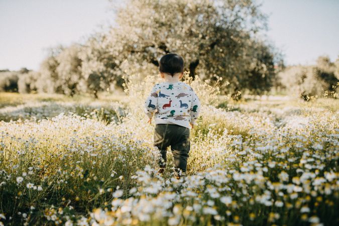 Toddler in a flower field