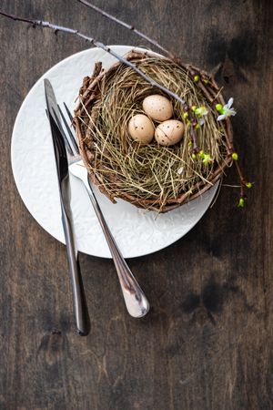 Table setting for Easter dinner with rustic bird's nest