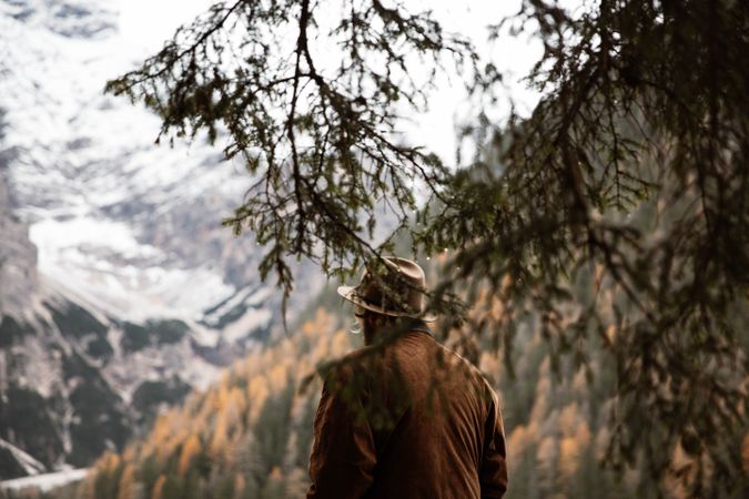 Man delighting in views of forest and mountains