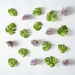 Monstera leaves and purple flowers on light background
