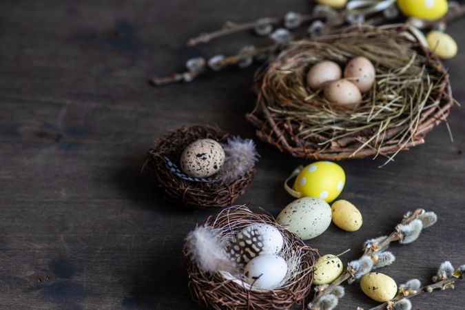 Nest with eggs and pussy willow branches on wooden table with copy space