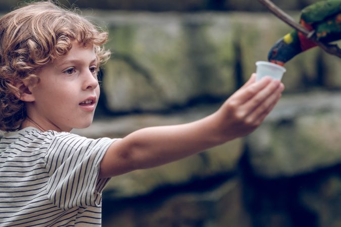 Boy feeding parrot in park