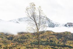 Autumn meets winter