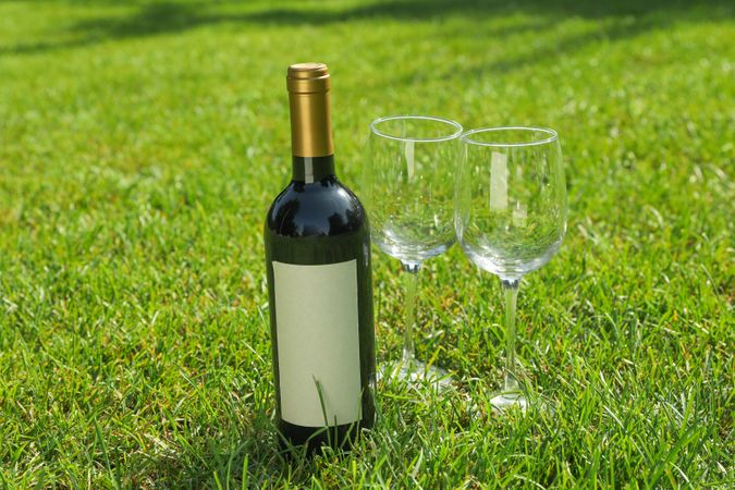 Bottle of wine and glasses on green grass, space for text