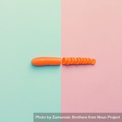 Carrot cut in half on pink blue background 4ARgNb