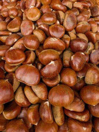 Fresh whole chestnuts background, close-up of autumn seasonal nuts