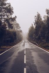Empty road through woodland in overcast day