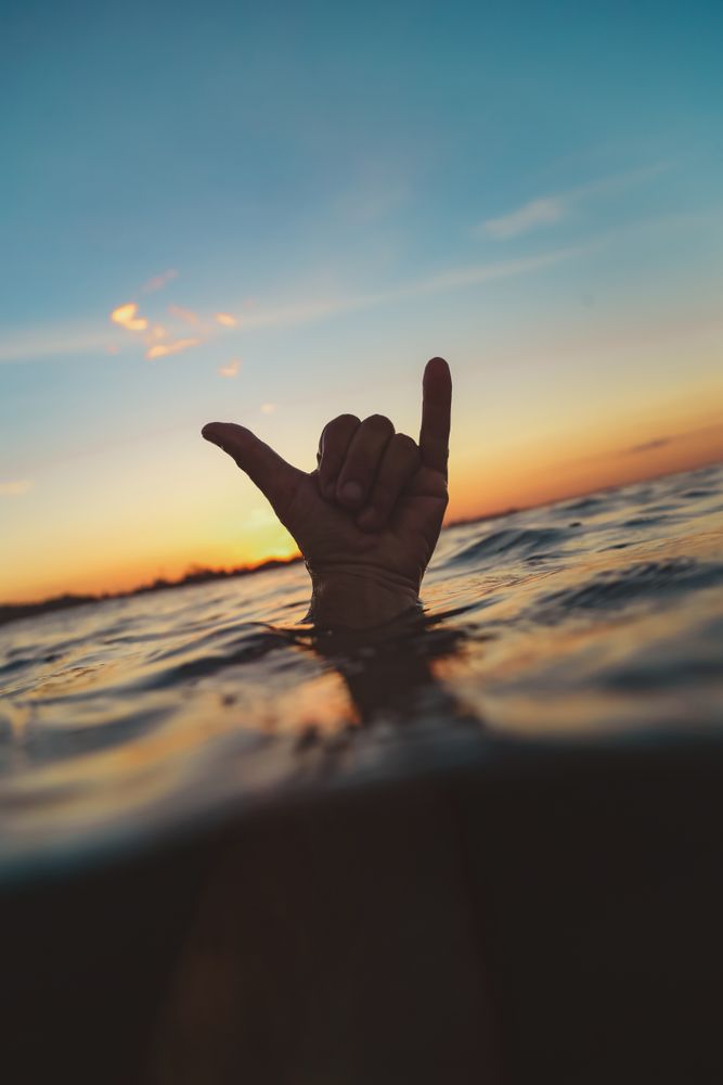 Hand with shaka gesture between water surface and sky at sunset