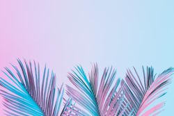Tropical and palm leaves in vibrant bold gradient holographic colors
