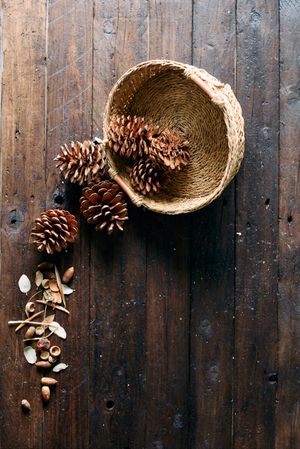 An esparto basket overturned on a table containing pine cones and leaves and acorns from an oak tree