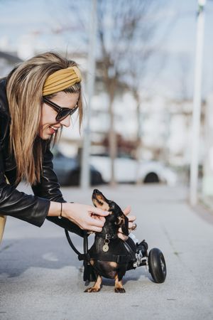 Smiling woman near dog with wheelchair on street