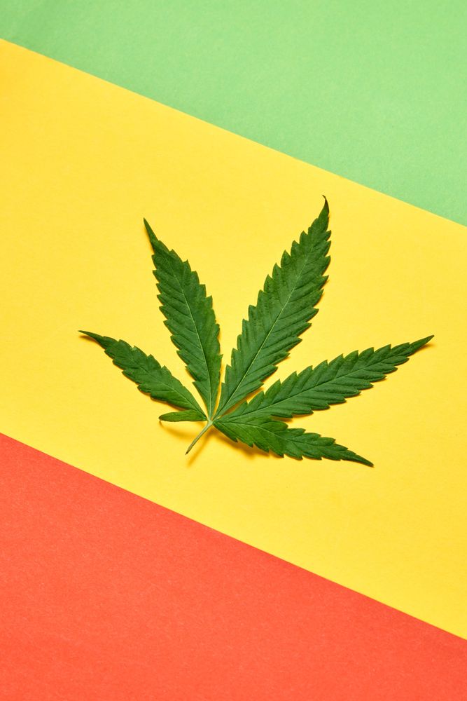 Cannabis leaf between red, yellow and green paper