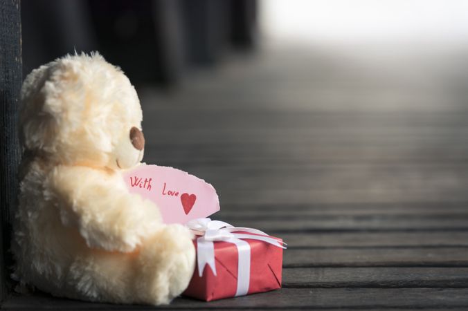 Teddy bear toy and gift box