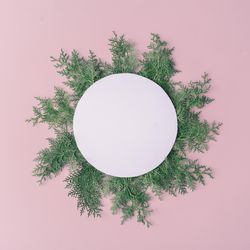 Christmas frame made of winter plants on pink table background