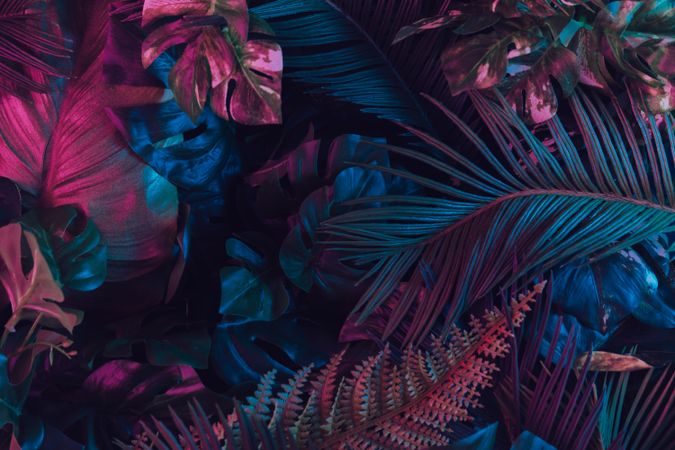 Creative layout made of colorful tropical leaves