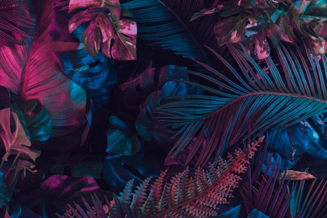 Creative layout made of colorful tropical leaves
