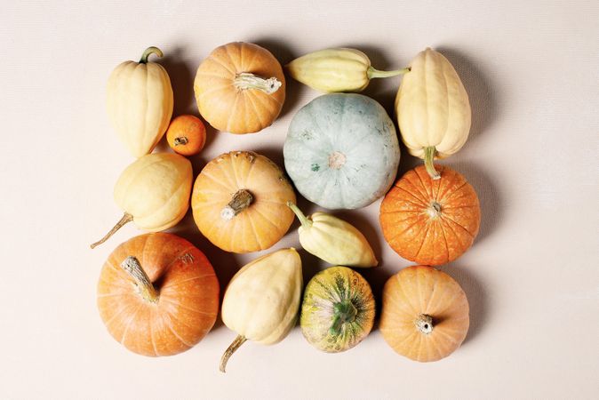 Top view of festive pumpkins on light table