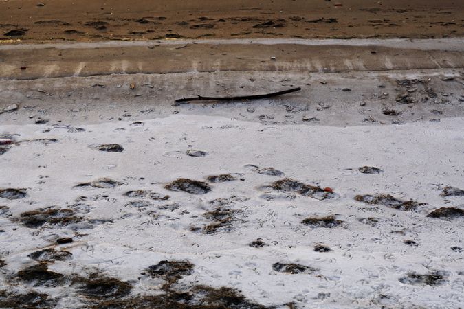 Sandy seashore covered with snow in winter