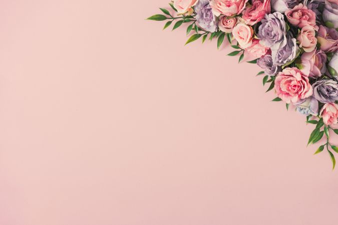 Colorful spring flowers of pink, and purple on right corner on pink background