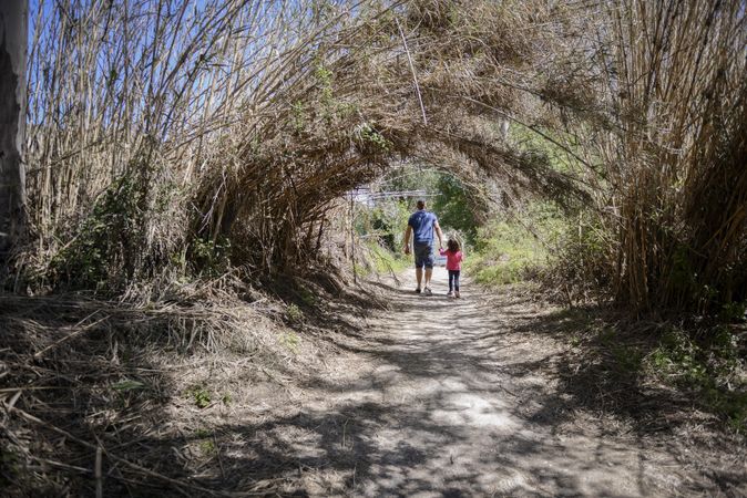 Trees without leaves curving over a path a young girl and man are walking along in the forest