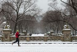 Person jogging in the snow, Central Park, New York City, New York P5paA4