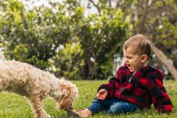 cute baby playing with a dog in a park