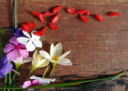 spring flower arrangement background