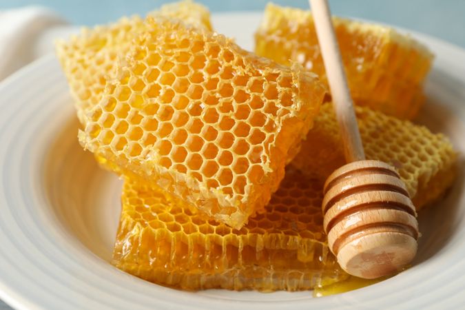 Plate with dipper and honeycombs against blue background, closeup