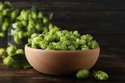 Wooden bowl and glass jar with hop on wood background, space for text