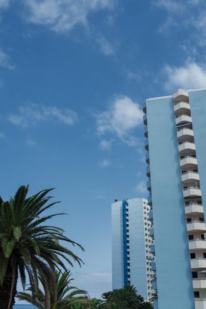Hotel towers near palm tree under blue sky on the Canary Islands