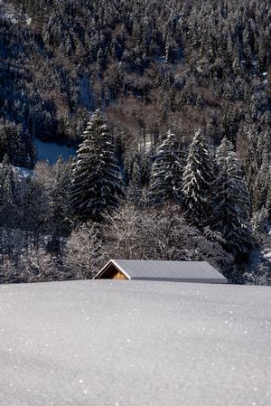 Deep snow scenery in the Bavarian Alps with log cabin rooftop snow-covered