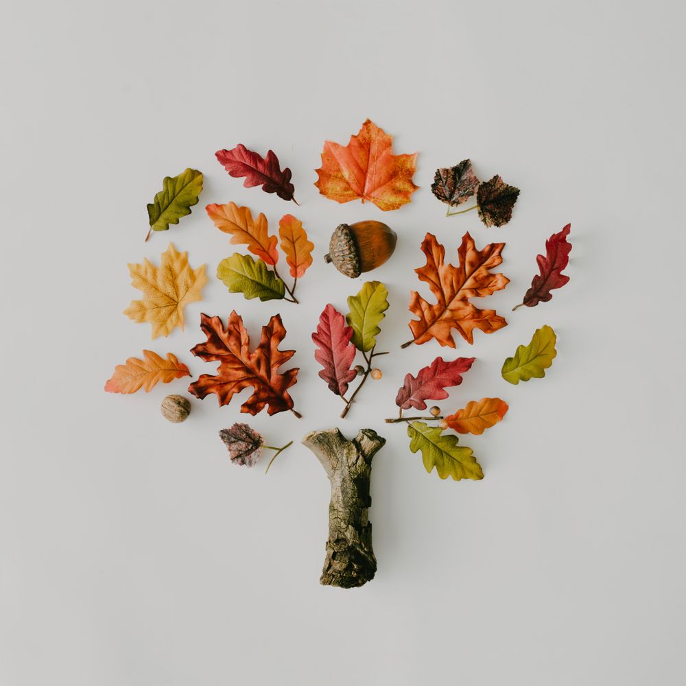 Tree made up of autumnal leaves, branches and nuts on light background