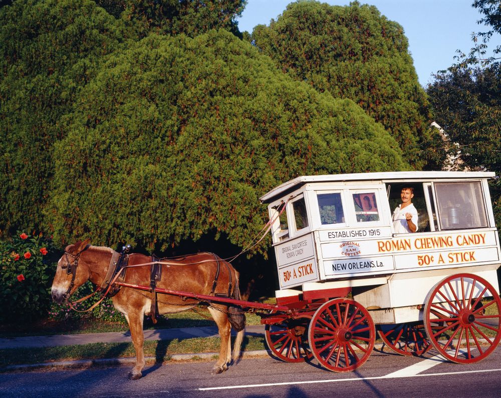 Horse and cart selling candy, New Orleans, Louisiana