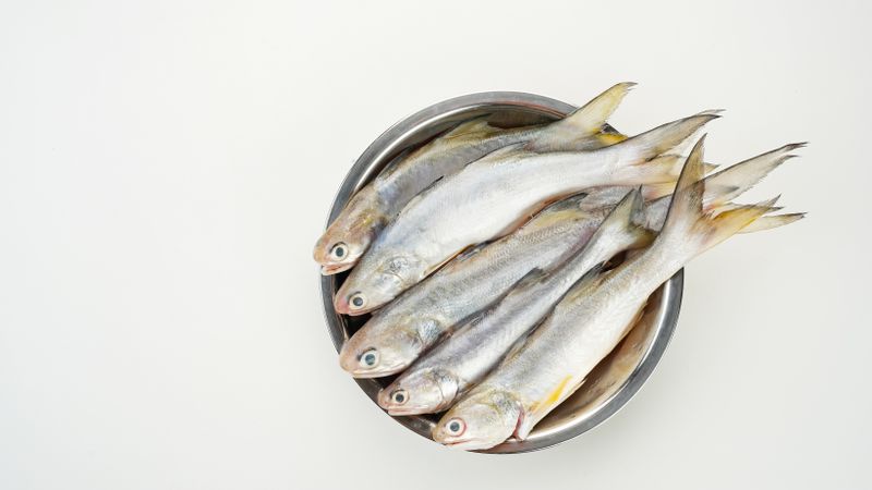 Yellow Croaker Fish, Ikan Ekor Kuning, served on stainless bowl