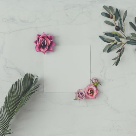 Pink flowers and leaves on marble background