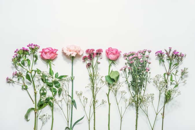Floral background with various flowers with pink and purple petals and green leaves