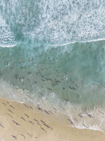 Aerial drone shot of people in the clear ocean water