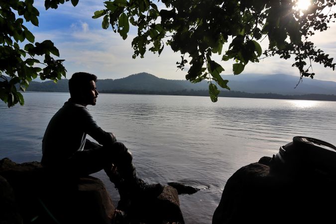 Silhouette of man sitting under tree by shoreline