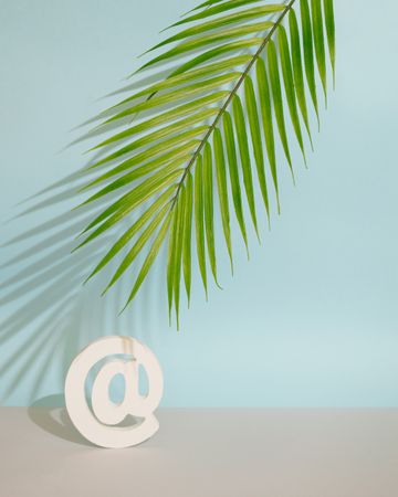 Internet “at” symbol under palm leaf in blue room, vertical