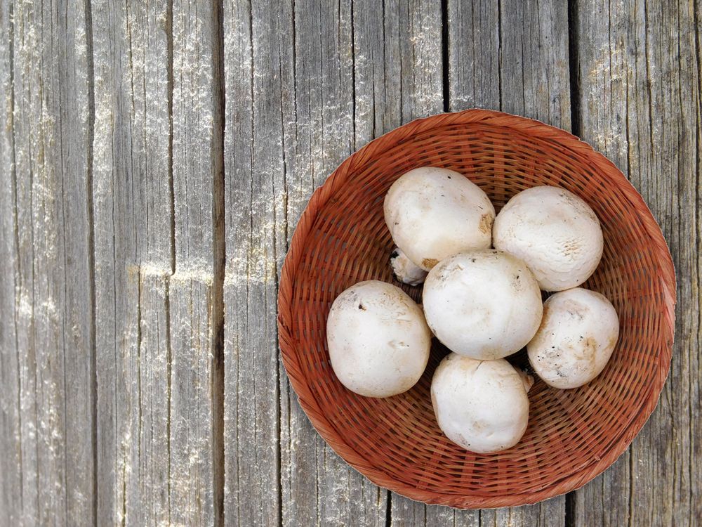 Mushrooms On The Wooden Background