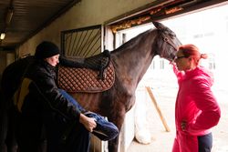Two people saddling a brown horse in stable.