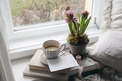 Pot of flower with mock up paper card and cosy cup of morning coffee
