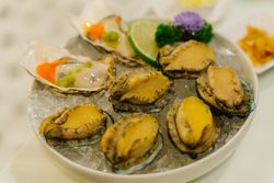 fresh raw abalone on plate