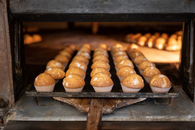 Some cupcakes tray freshly baked are being pulled from a stone oven with wooden shovel