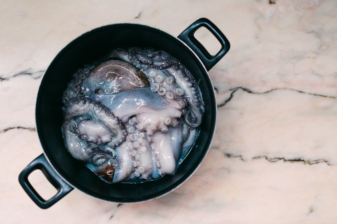 Fresh squid on marble table