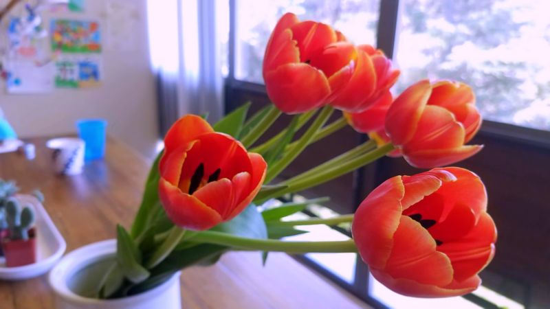 Tulips in bouquet on table
