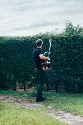 Man pruning arizonica hedge