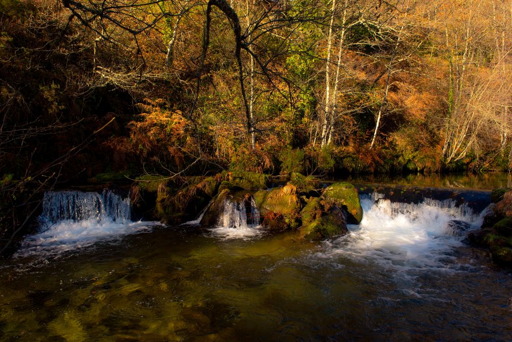Small clean waterfalls in autumn forest